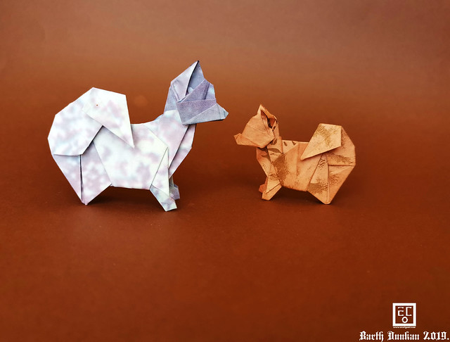 Origami Spitz Nains - Barth Dunkan.