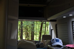 View from my Airstream Interstate
