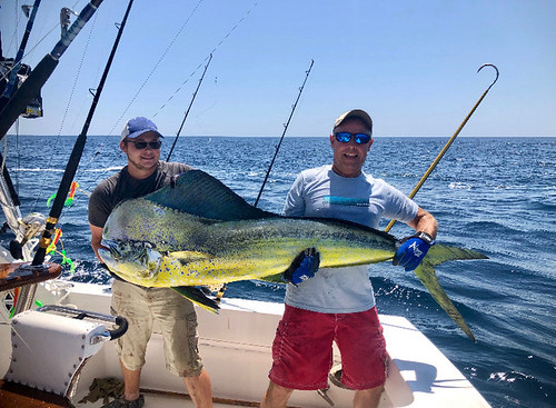Photo of men holding large common dolphinfish, also known as mahi