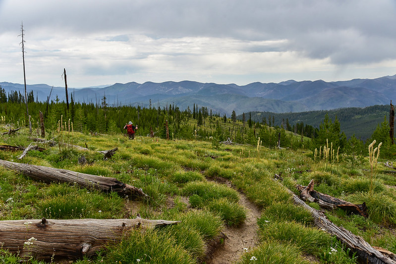 Johnson Peak Trail