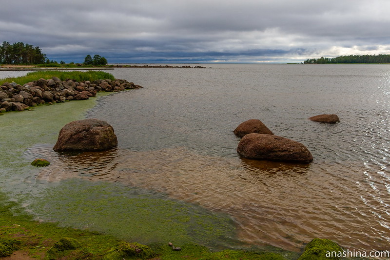 Финский залив, база отдыха "Окуневая", Балтийское море
