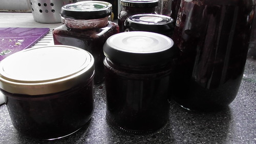 gooseberry and strawberry jam July 19 (2)