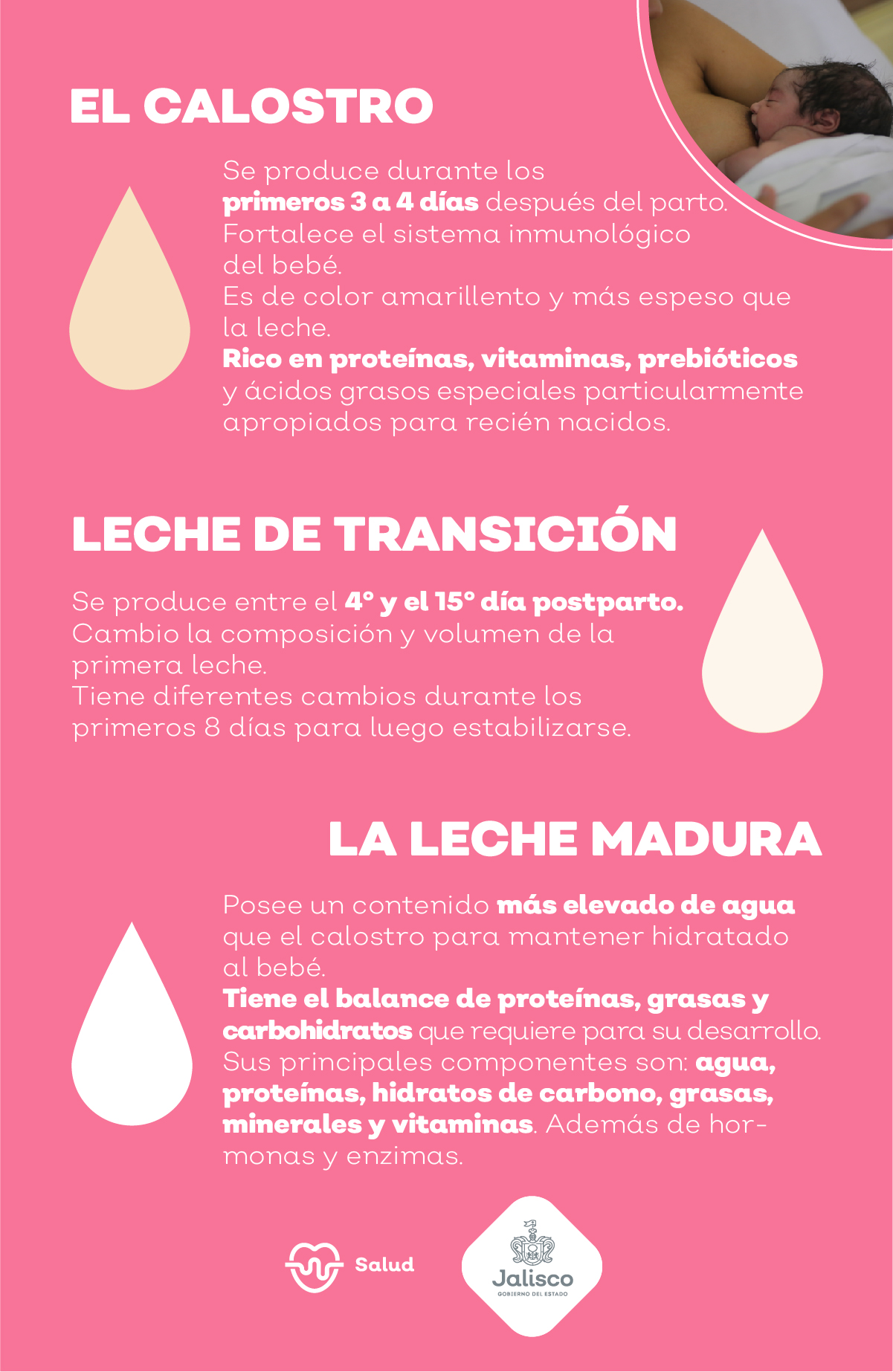 en casa Deliberadamente cortar Todo lo que tienes que saber sobre la lactancia materna | Gobierno del  Estado de Jalisco