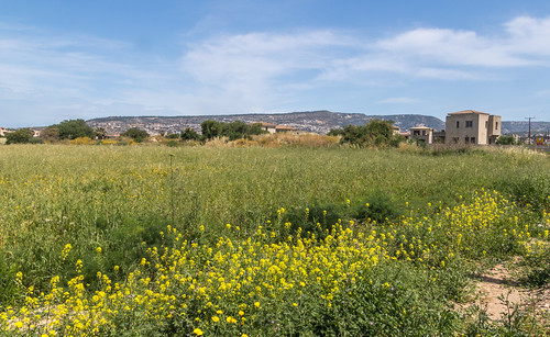 paphos walking cyprus landscape maapalaiokastro holiday spring pafos κύπροσ μααπαλαιόκαστρο πάφοσ peyia