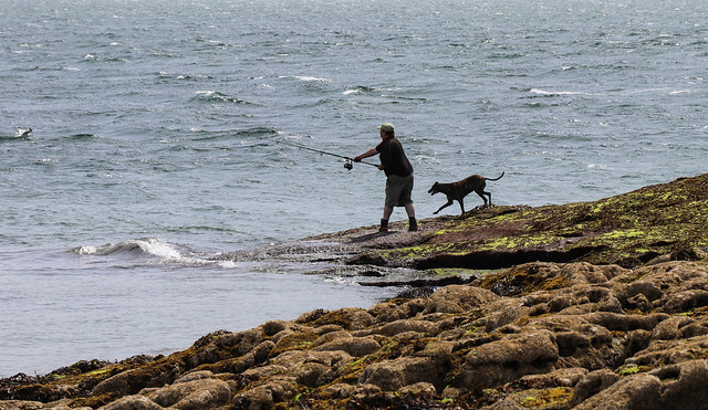 Dog teaching a man how to fish