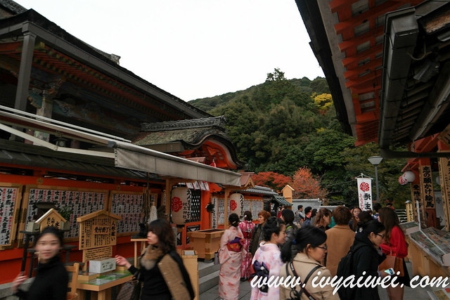 things to do in Kyoto (autumn) (101)