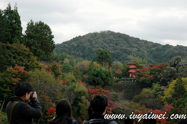 things to do in Kyoto (autumn) (95)