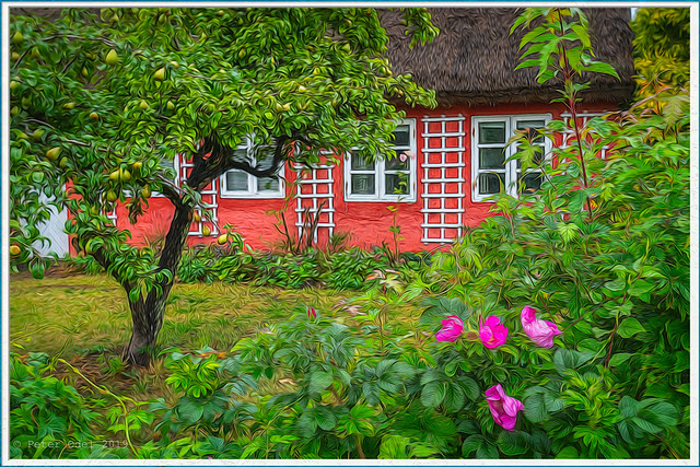 Traditional Danish farmhouse in summer...