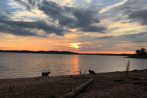 iphone shimmer lake hartwell sunrise dogs cooper mira clouds
