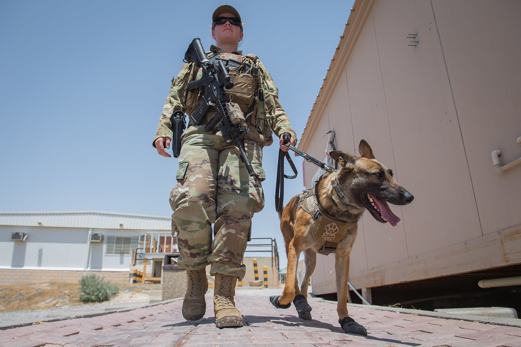 U.S. Air Force Military Working Dogs