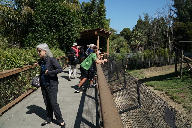 Oakland Zoo Trip