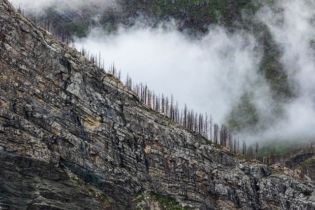 Waterton National Park, 2 years after the big forest fire