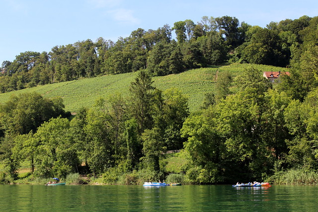Gummiboote ( Gummiboot Schlauchboot ) auf dem Rhein - Hochrhein ( Fluss river ) ob Eglisau im Kanton Zürich und Schafhausen der Schweiz