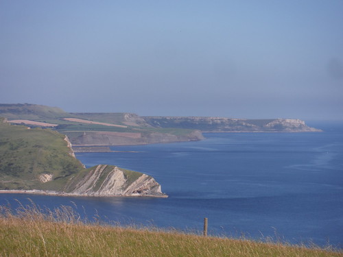 Easterly Backview from Bindon Hill SWC Walk 54 - Lulworth Cove Circular (via Tyneham and Durdle Door)