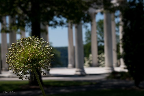 Selective Focus.... | by KoVfOtO