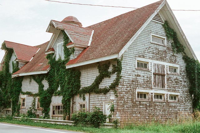 Overgrown house (on film)