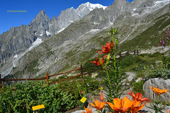 COURMAYEUR- SKYWAY - PAVILLON