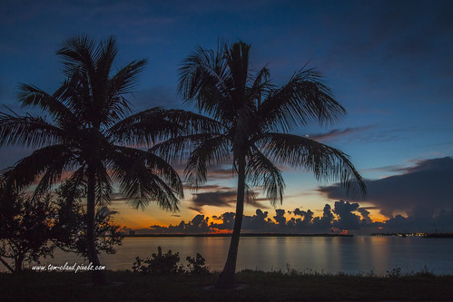 sun sunrise dawn morning water river indianriver trees palms palmtree silhouette clouds cloudy sky weather outdoors nature mothernature fortpierce florida landscape seascape usa