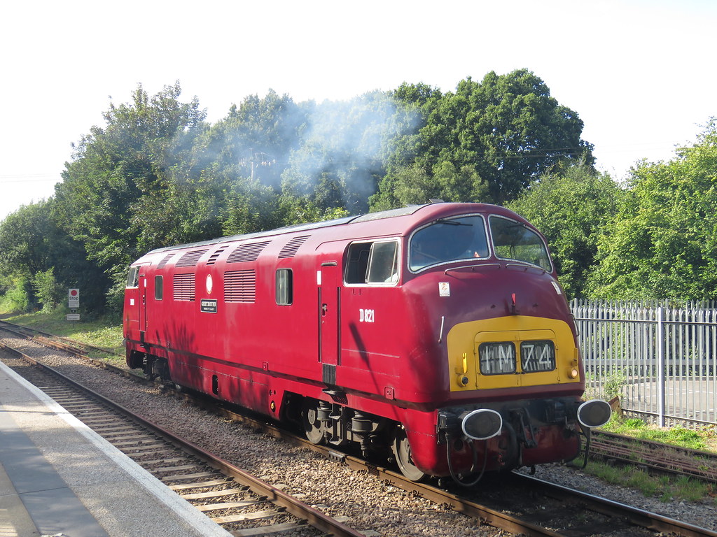 Class 42 D821 at Eridge 02/08/19