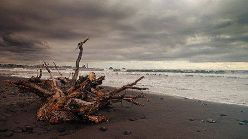 taranaki newplymouth landscape coastal beach fitzroybeach stone stones sand driftwood
