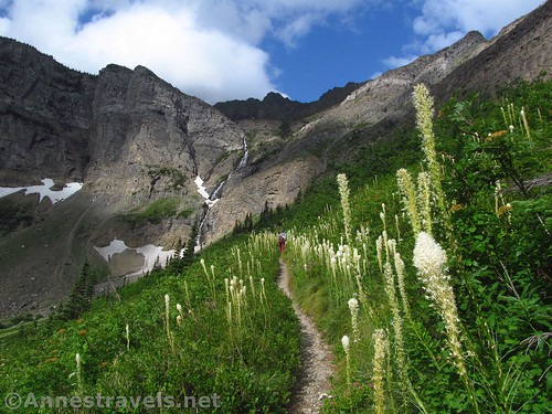 Hiking up above the Amphitheater on the Swiftcurrent Pass Trail in Glacier National Park, Montana