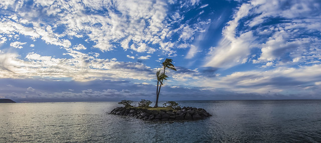 Palm Island Morning