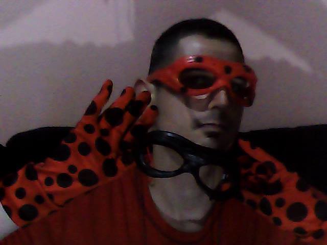 Miraculous Ladybug - Ladybug and Cat Noir Cosplay Glasses …