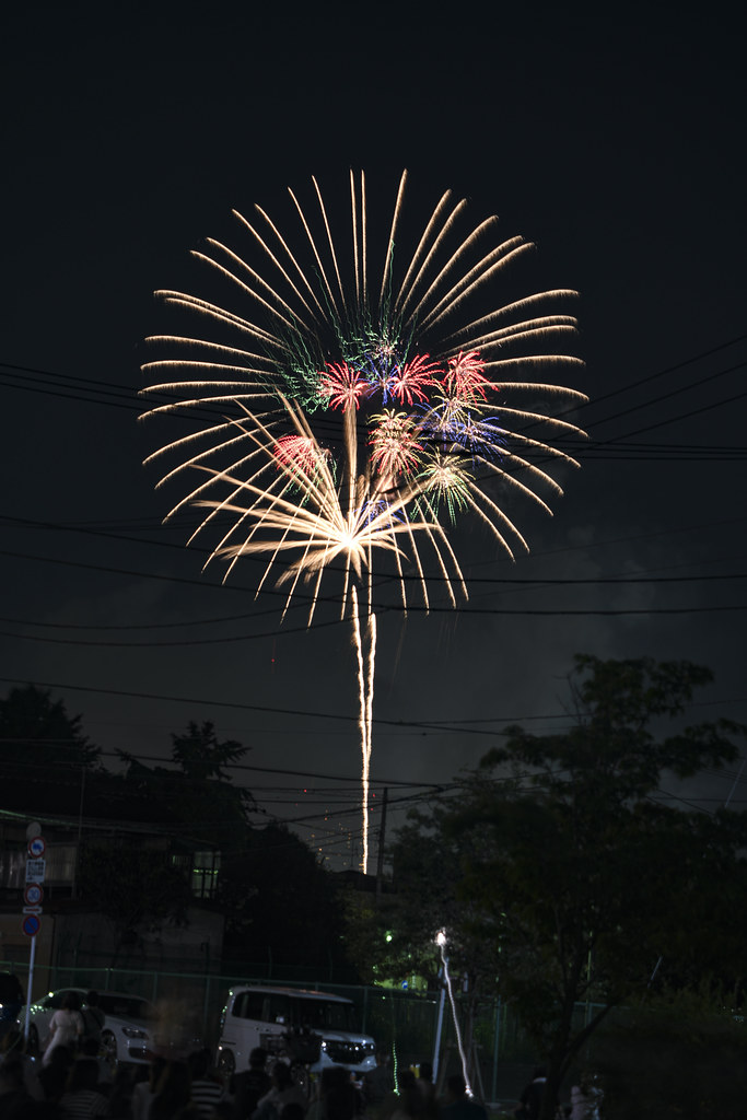2019/08/03 Edogawa-Ku fireworks show