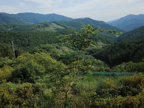 熊野古道 中邊路 日本 japan 田邊 和歌山 kumanokodo 近露王子