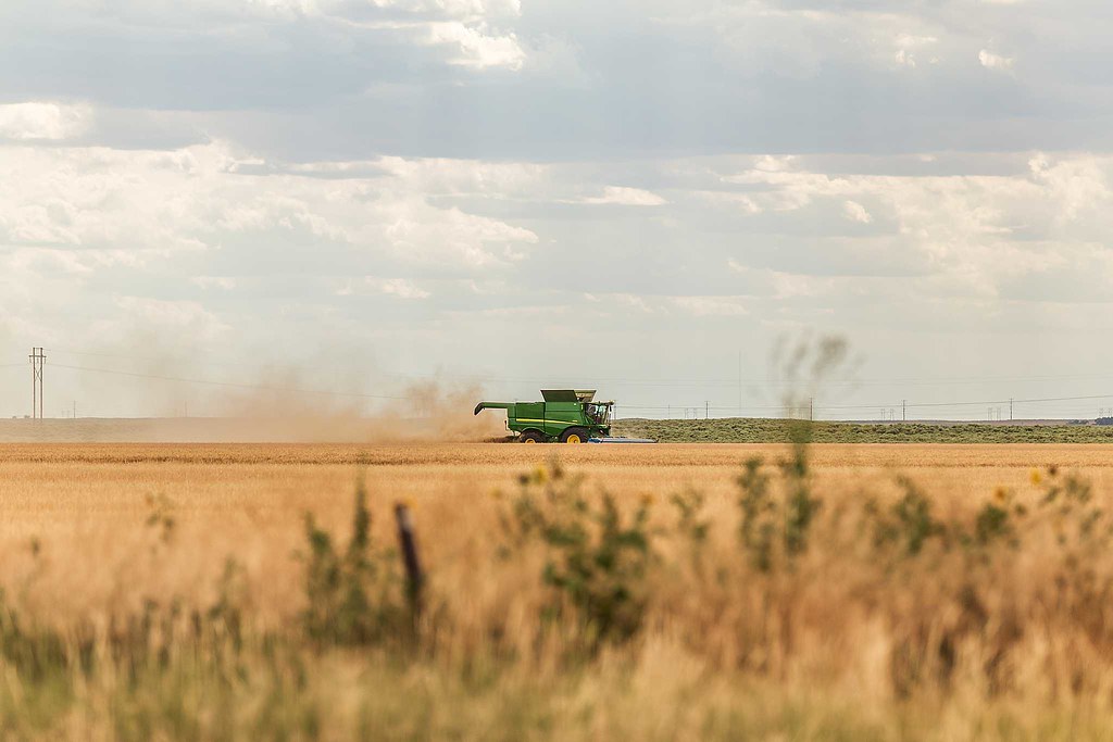High Plains Harvesting 2019