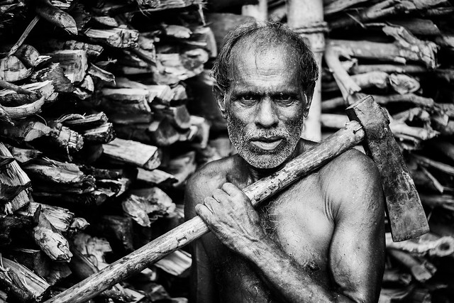 Hard working Wood Cutter man age 65
