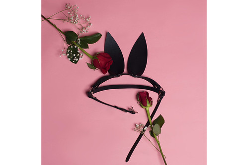 apatico-valentines-day-2018-vegan-leather-pink-roses-harness-fashion-7