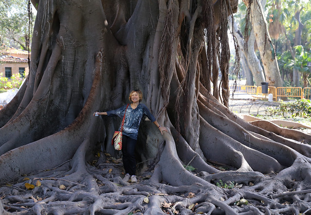 Kanitha at the Monumental old Liana tree