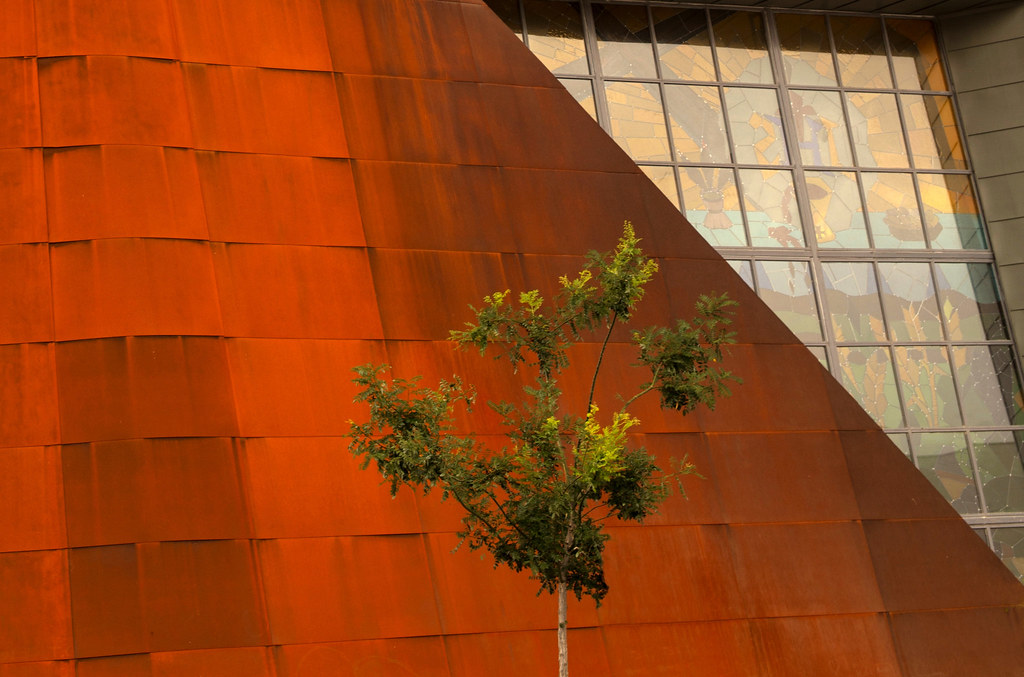 Árbol y arquitectura o architextura