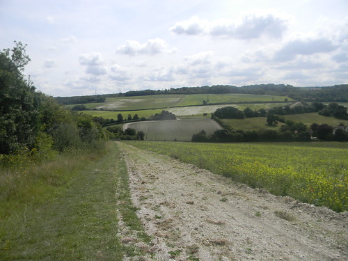 view from the Downs Sole Street Circular