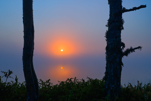 DSC8198L by Tanel Kindsigo, Sunrise at Meenikunno Bog, Estonia.
For licensing: <a href="https://licensify.co/o/nSkOzQoZ?t=41" r