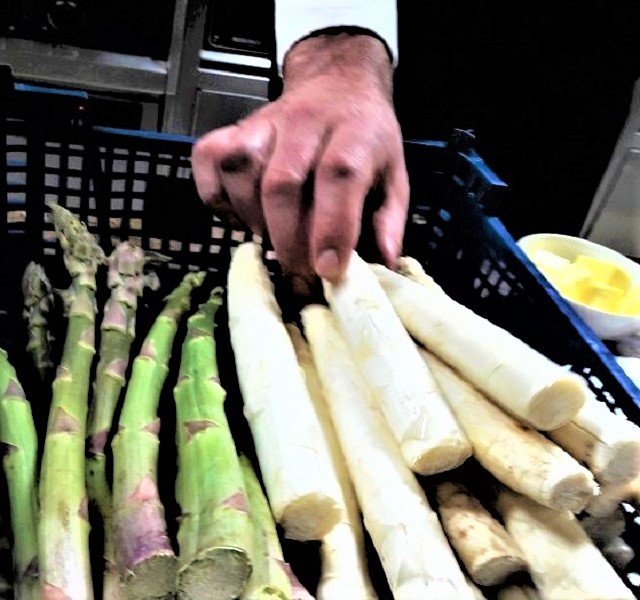The size of baseball bats - Dordogne asparagus