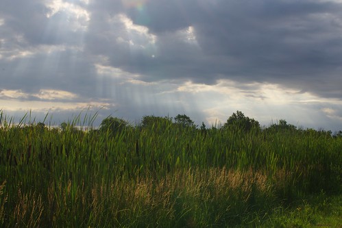 landscape sunshine sunrise kptrail kingston marsh