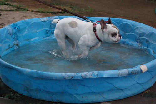 agility__7_2013-7609