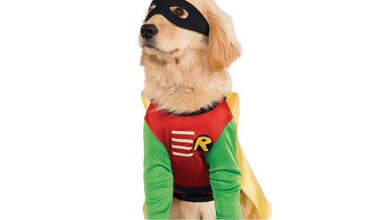 halloween costume for pets 