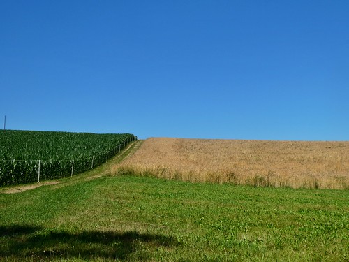landscape altenlotheim germany grain corn dctz90 lumix panasonic frankenau hessen landschap graan field sky zomer summer hiking wandelen