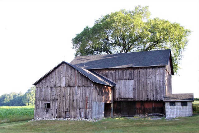 Vintage Brown Barn