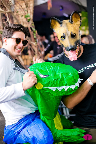 Fotos do evento DOG PARTY em Juiz de Fora