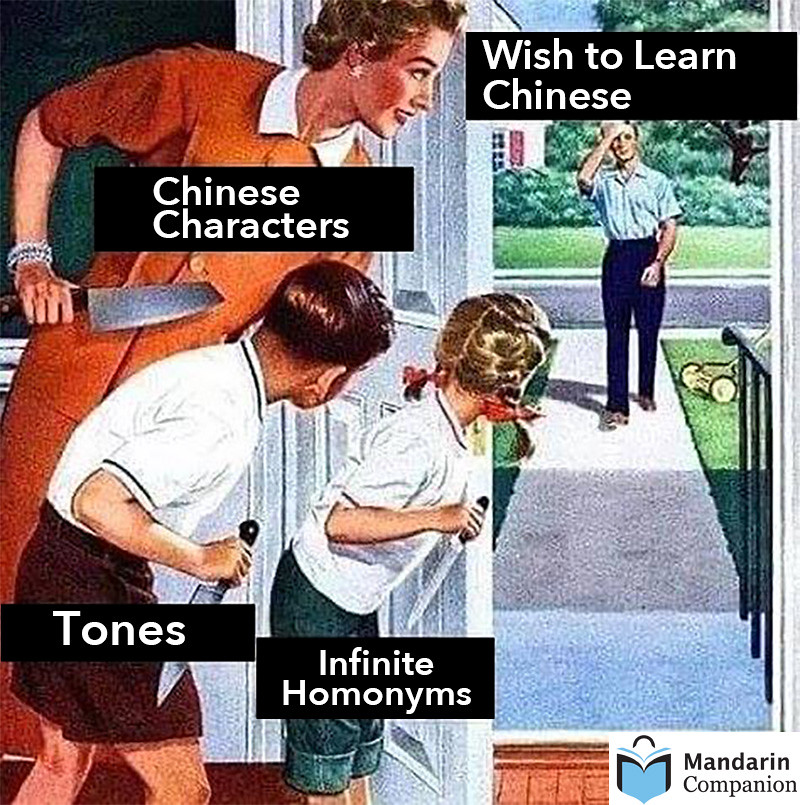 Learn Chinese Meme