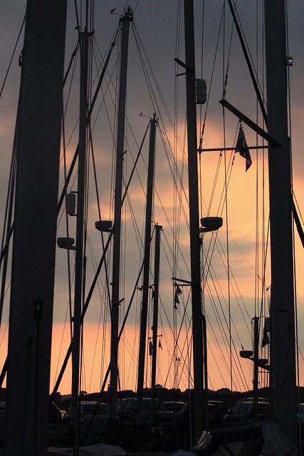 Masts at sunset