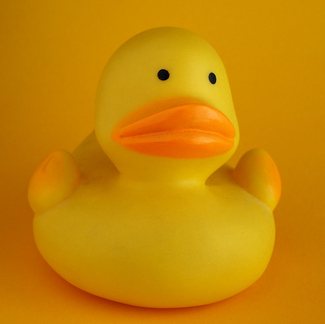 Crazy yellow rubber duck