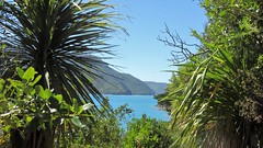 Picton - Motuara Island View to Queen Charlotte Sound