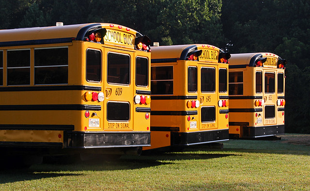 school buses waiting