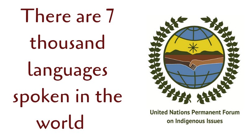 international day of indigenous peoples 2019 activities 