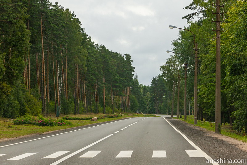 Приморское шоссе в Зеленогорске
